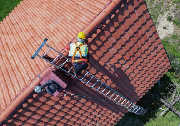 Best Roof Moss and Algae Removal  in St Francis, KS