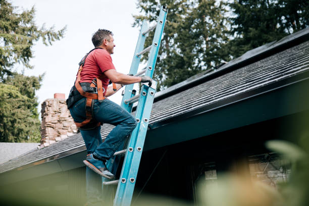 Best Roof Insulation Installation  in St Francis, KS
